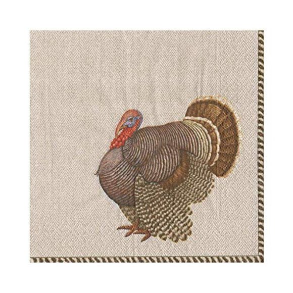NEW in Package Lot of 4 Packages Caspari Thomas T. Byrd Thanksgiving Napkins - Picture 3 of 6